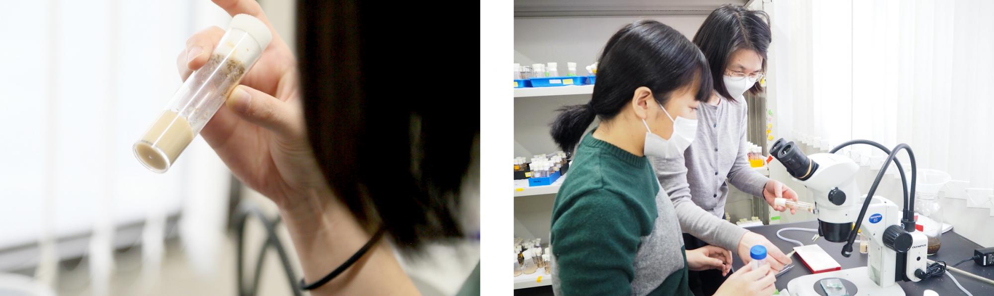 (left) Ms. YAMAGUCHI examines a small capped vial containing Drosophila in various stages of their life cycle (right) SA Assist. Prof. SUYAMA carefully explains how the experiment is to proceed to Ms. YAMAGUCHI