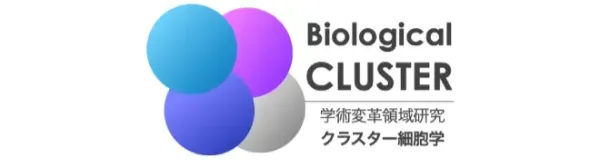 バイオロジカルクラスター：細胞内における超分子複合体の形成機構と機能特性