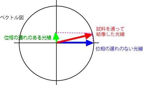 実際の位相のずれ