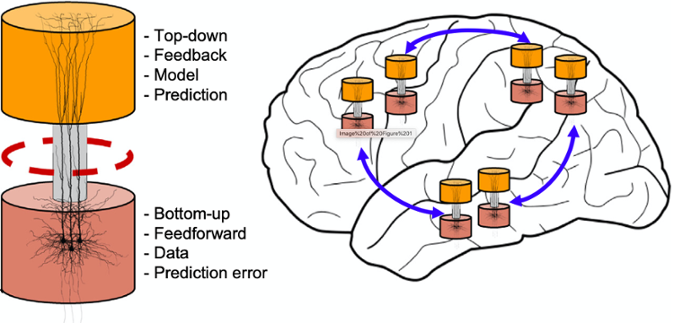 Dendritic calcium spikes