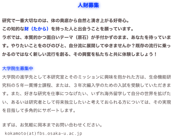 人財募集

研究で一番大切なのは、体の奥底から自然と湧き上がる好奇心。
この知的な財（たから）を持った人と出会うことを願っています。
ラボでは、本質的かつ面白いテーマ（原石）が手付かずのまま、あなたを待っています。やりたいことをのびのびと、自分流に展開してゆきませんか？既存の流行に乗っかるのではなく新しい流行を創る、その興奮を私たちと共に体験しましょう！

大学院生募集中　
大学院の進学先として本研究室とそのミッションに興味を抱かれた方は、生命機能研究科の５年一貫博士課程、または、３年次編入学のための入試を受験していただきます。また、好きな研究を仕事につなげたい、いずれ海外留学して自分の世界を拡げたい、あるいは研究者として将来独立したいと考えておられる方については、その実現を目指して多角的にサポートします。

まずは、お気軽に岡本までお問い合わせください。
 kokamoto(at)fbs.osaka-u.ac.jp
