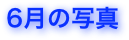 6月の写真