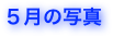 ５月の写真