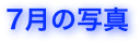 7月の写真