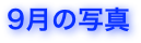 9月の写真