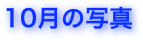 10月の写真