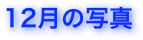 12月の写真