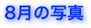 8月の写真