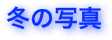 冬の写真