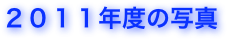 ２０１１年度の写真
