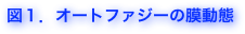 図１．オートファジーの膜動態