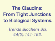 The Claudins: From Tight Junctions to Biological Systems